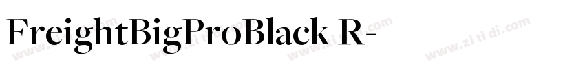 FreightBigProBlack R字体转换